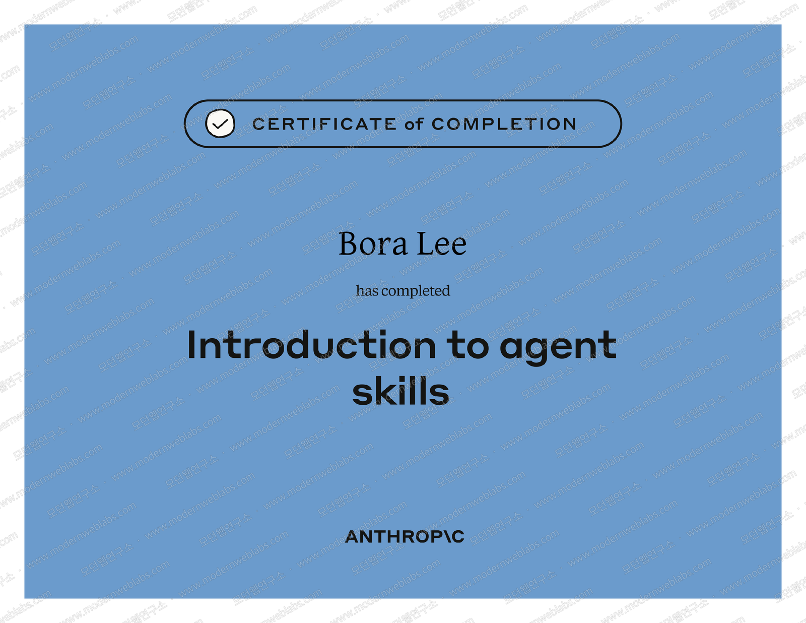 Introduction to agent skills